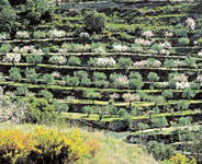 De Alcoy à La Vila Joiosa