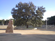 Parc la Carrasca
