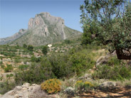 Les serres de Benicadell i d'Agullent