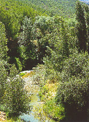 El Rincón de Ademuz