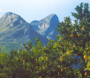 Die Sierra de la Safor und die Sierra de l'Almirall