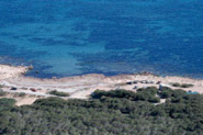 CALAS DEL CABO DE L'ALJUB