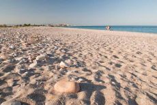 Pedra-Roja Beach