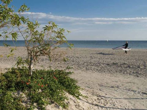 PLAYA LLISA