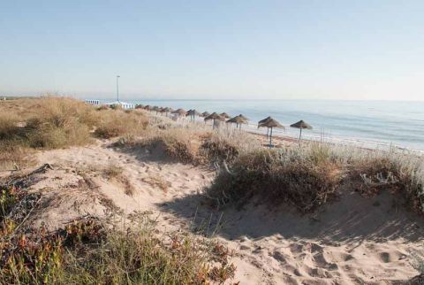 Plage de la Garrofera