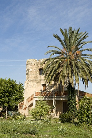 Torre del Blanch de Morell