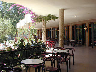 LOS ROBLES