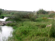 Paisaje Protegido de la Desembocadura del Riu Millars
