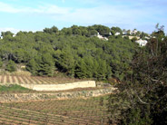 Paisatge Protegit de Les Sorts Teulada Moraira