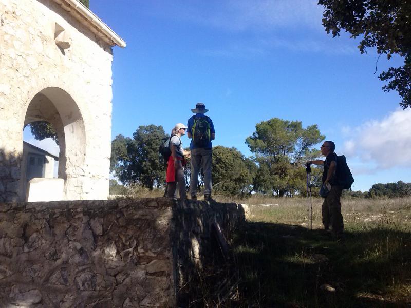 Arrels, gestió i promoció del medi