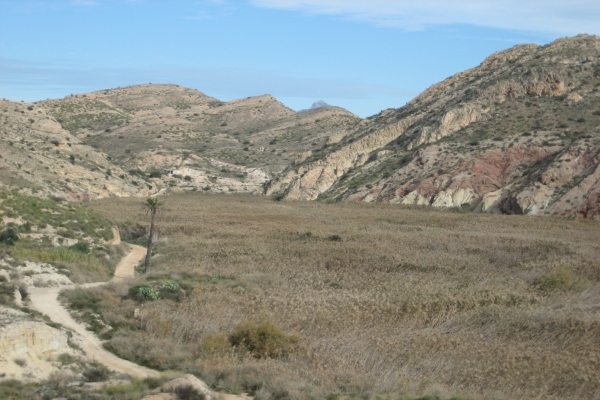 Der Naturpark Los Algezares in Aspe