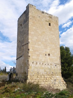 The Ciprés Tower