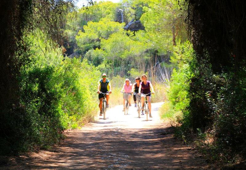 Visit Albufera