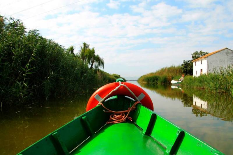 Visit Albufera