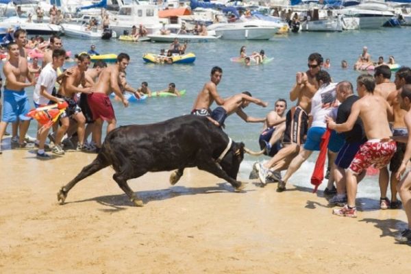 Festa Major - Bous a la Mar