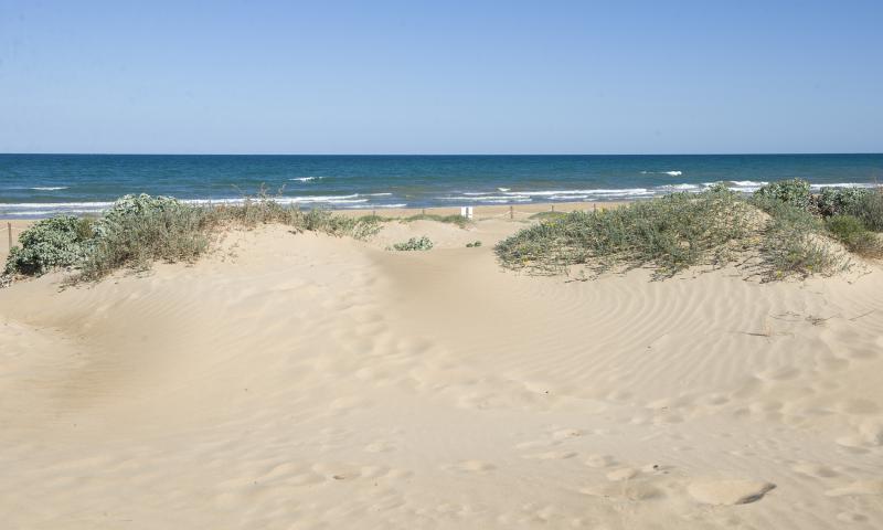 MARJAL