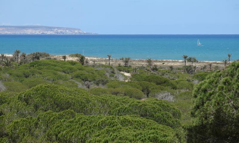 MARJAL