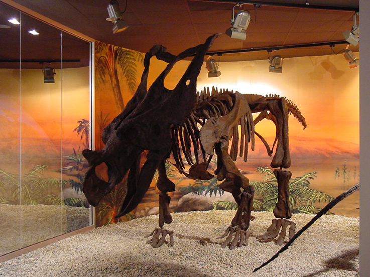 Museo Paleontológico MUPE en Elche