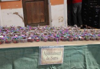 Fiesta de la Cereza